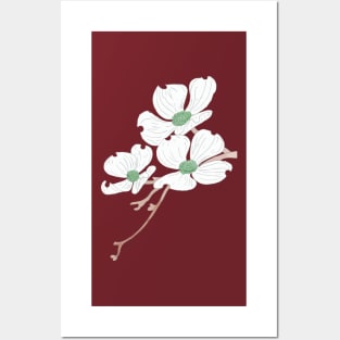 Dogwood Blooms Posters and Art